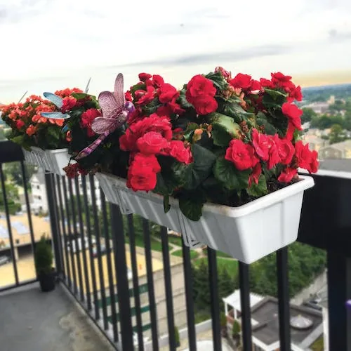 Restored Sun Joe FPH1901W Deco Joe Adjustable Flower Box Holder | 18" - 36" in Length | White (Refurbished)