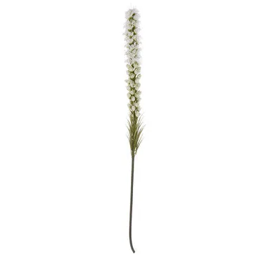 Fiori White Blazing Star Flower Stem