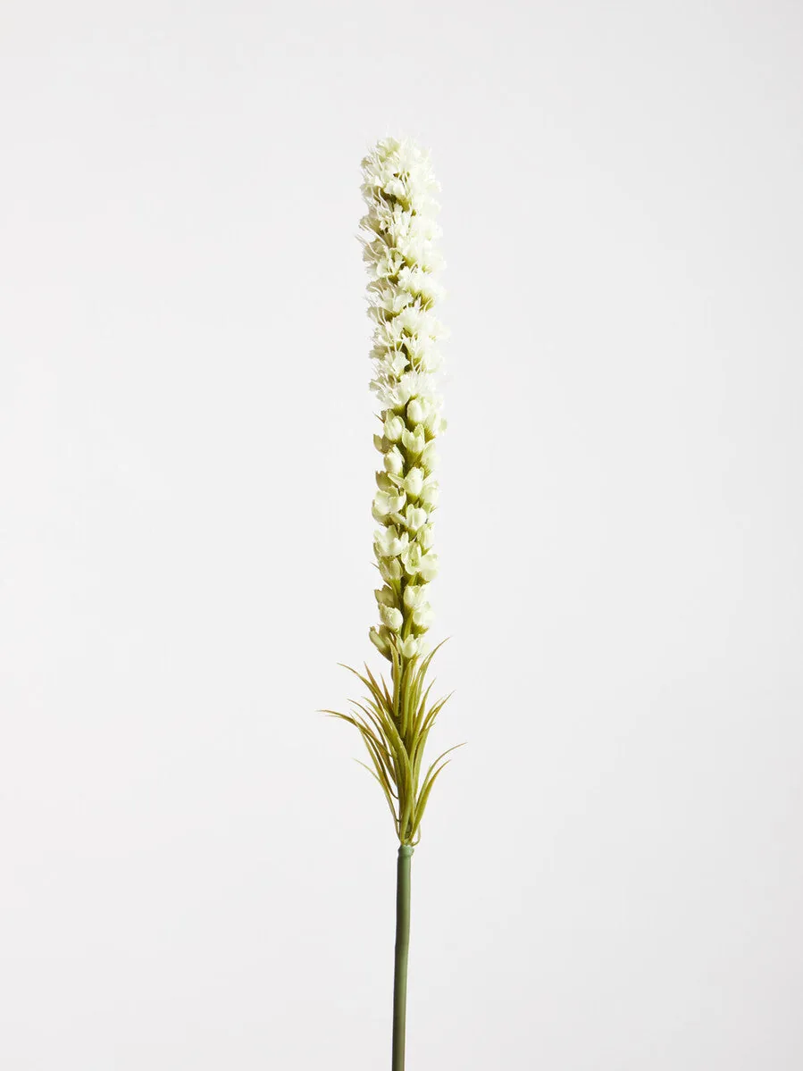 Fiori White Blazing Star Flower Stem