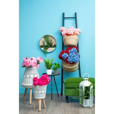 Fiori Pink Chrysanthemum Flower Stem