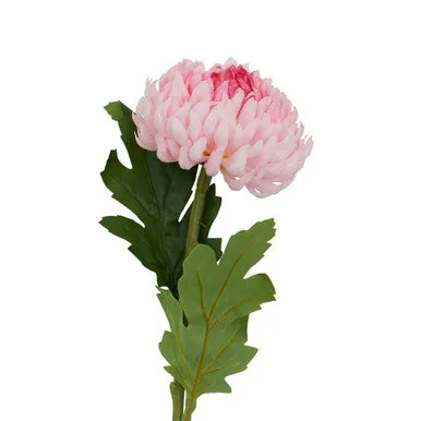 Fiori Pink Chrysanthemum Flower Stem