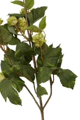Fiori Green Hop Flower Spray Stem