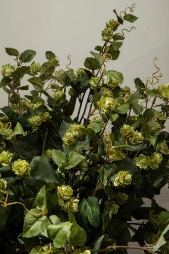 Fiori Green Hop Flower Spray Stem