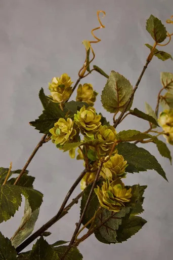 Fiori Green Hop Flower Spray Stem