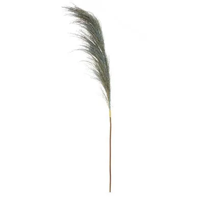 Fiori Blue Tall Pampas Grass Stem