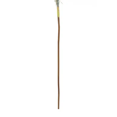 Fiori Blue Tall Pampas Grass Stem