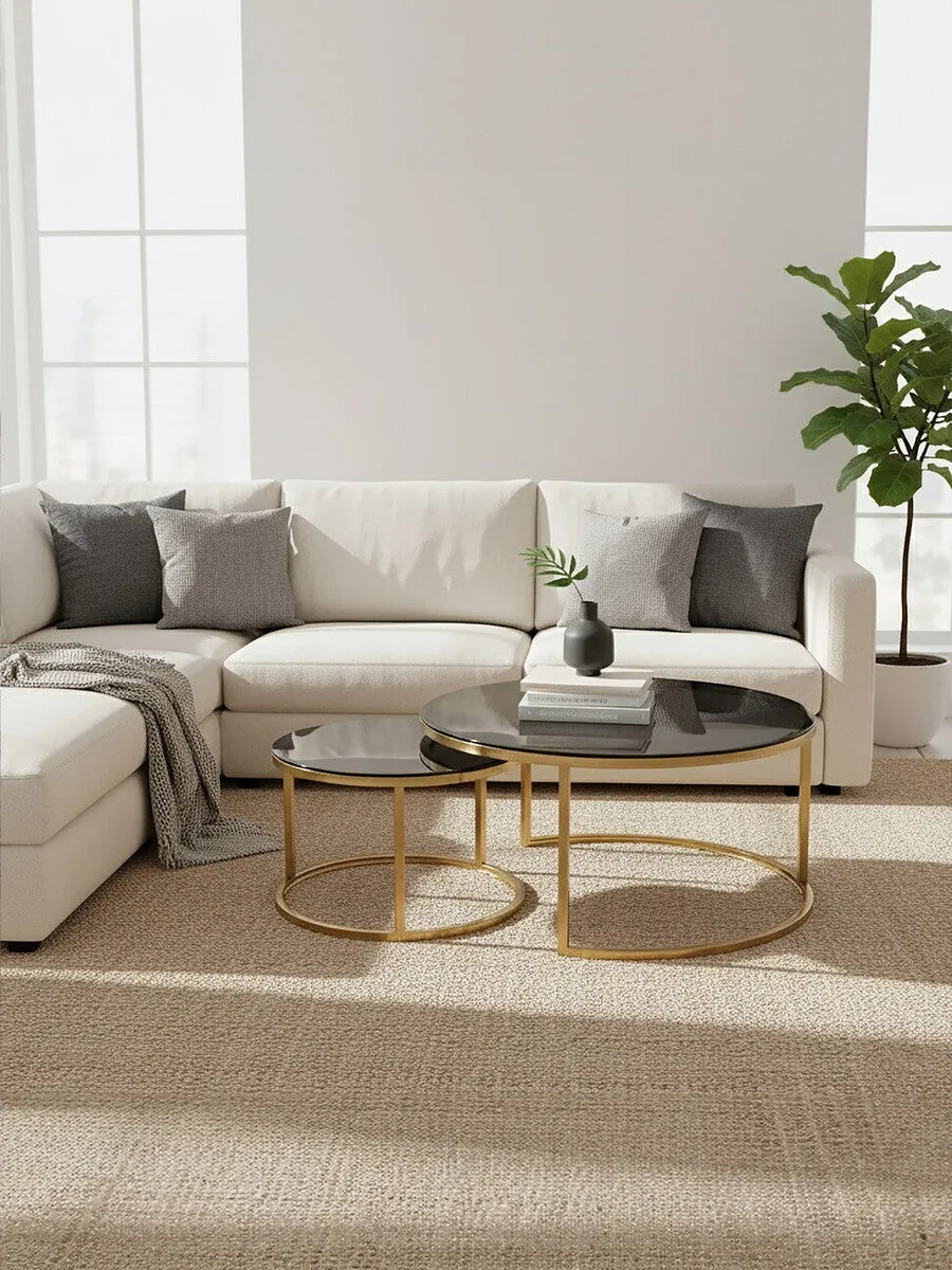 Set Of 2 Black Tinted Glass Round Tops Nesting Coffee Tables With Brushed Gold Stainless Steel Frames, Alana