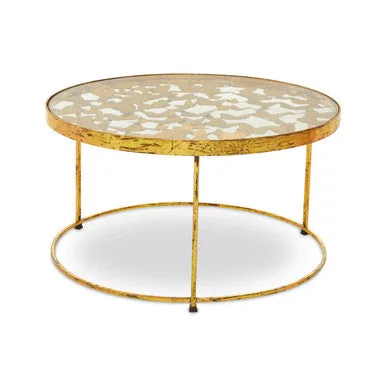 Butterfly Design Clear Glass Top Coffee Table With Gold Wireframe Base, Rabia
