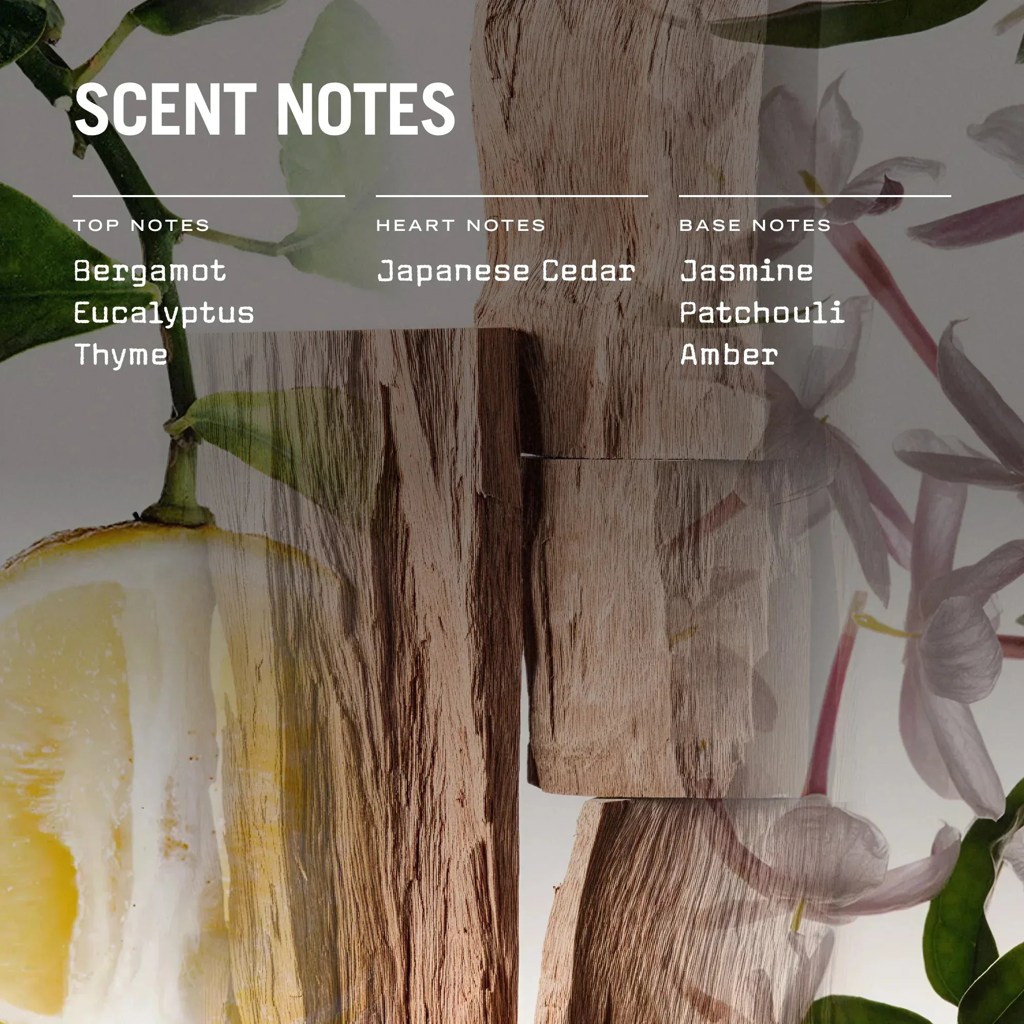 Sugi 100ml Reed Diffuser