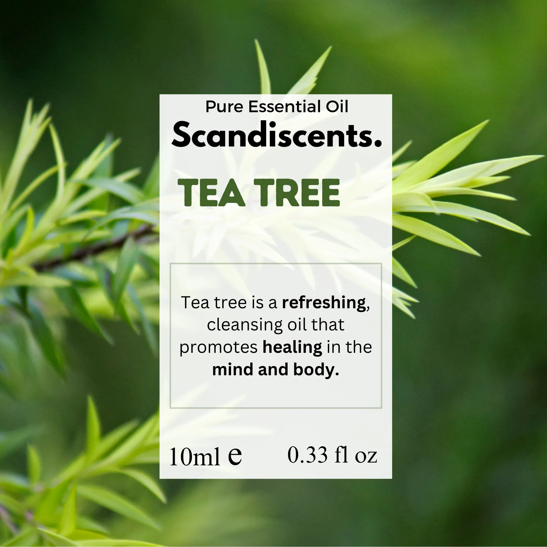 Tea Tree Essential Oil