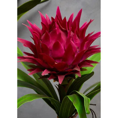 Fiori Pink Tropical Plant With Black Ceramic Pot