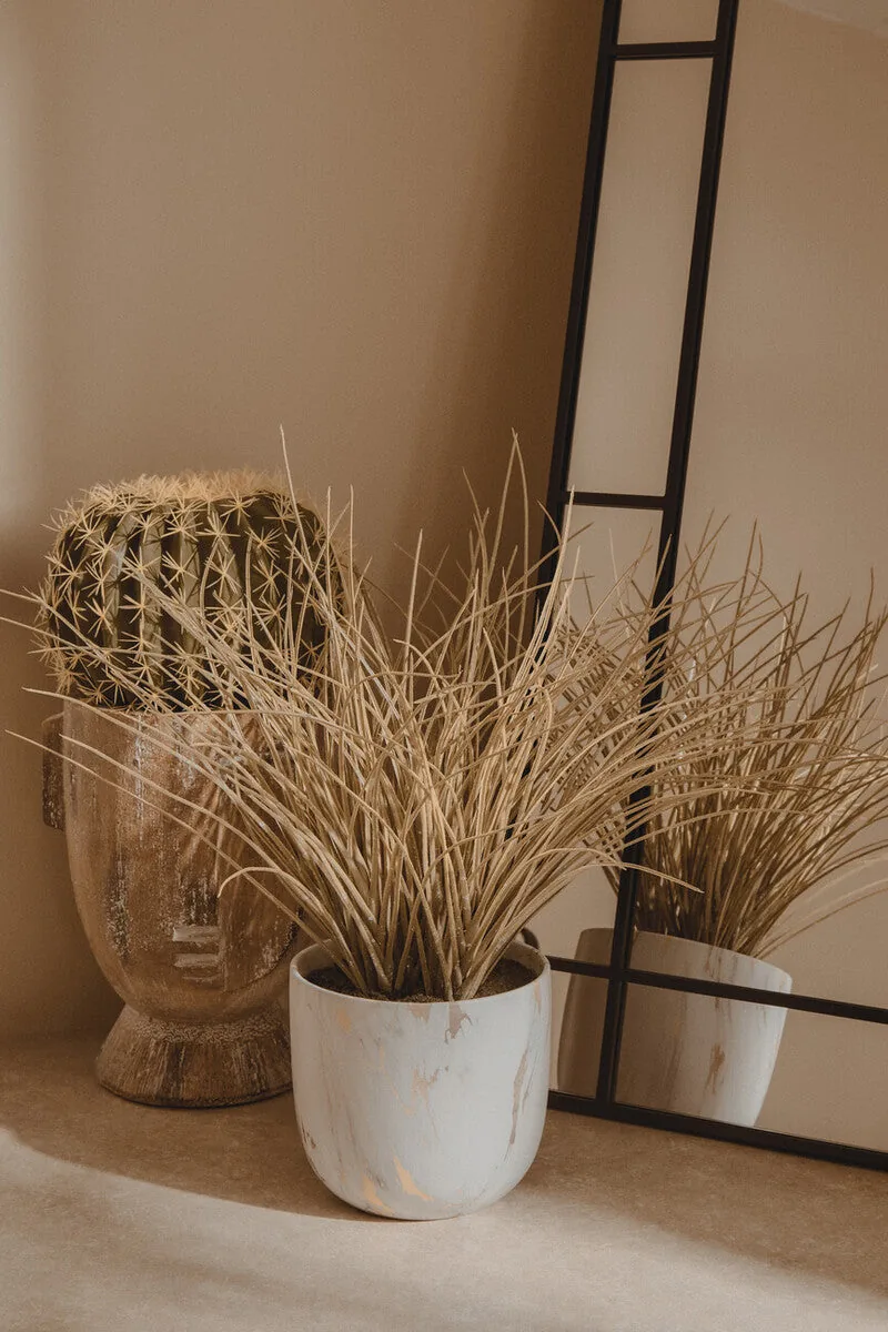Fiori Round Cactus In Pot Green