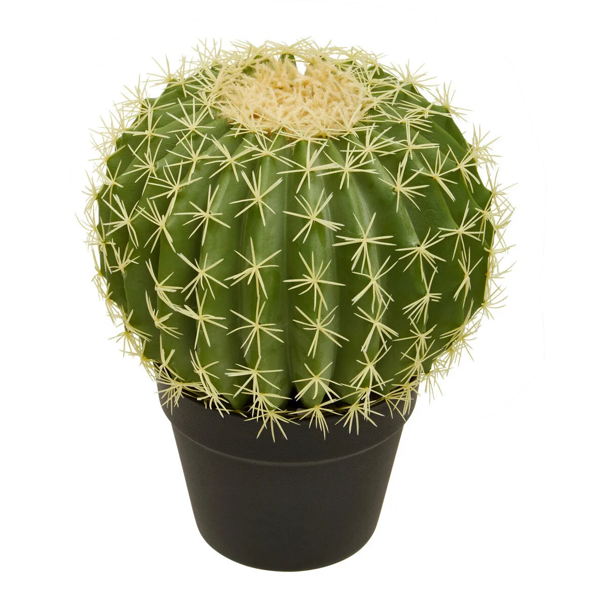 Fiori Round Cactus In Pot Green