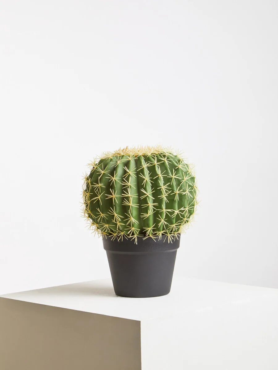 Fiori Round Cactus In Pot Green