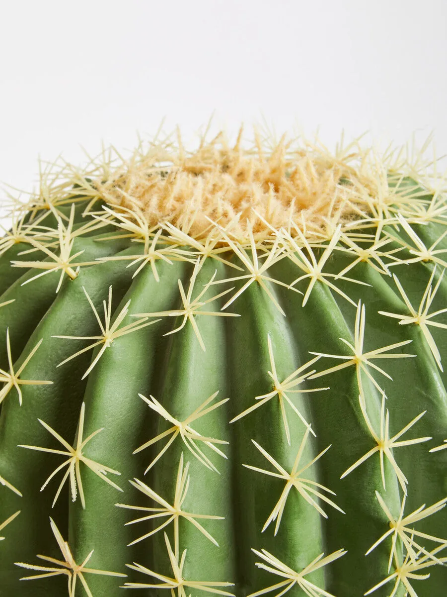 Fiori Round Cactus In Pot Green