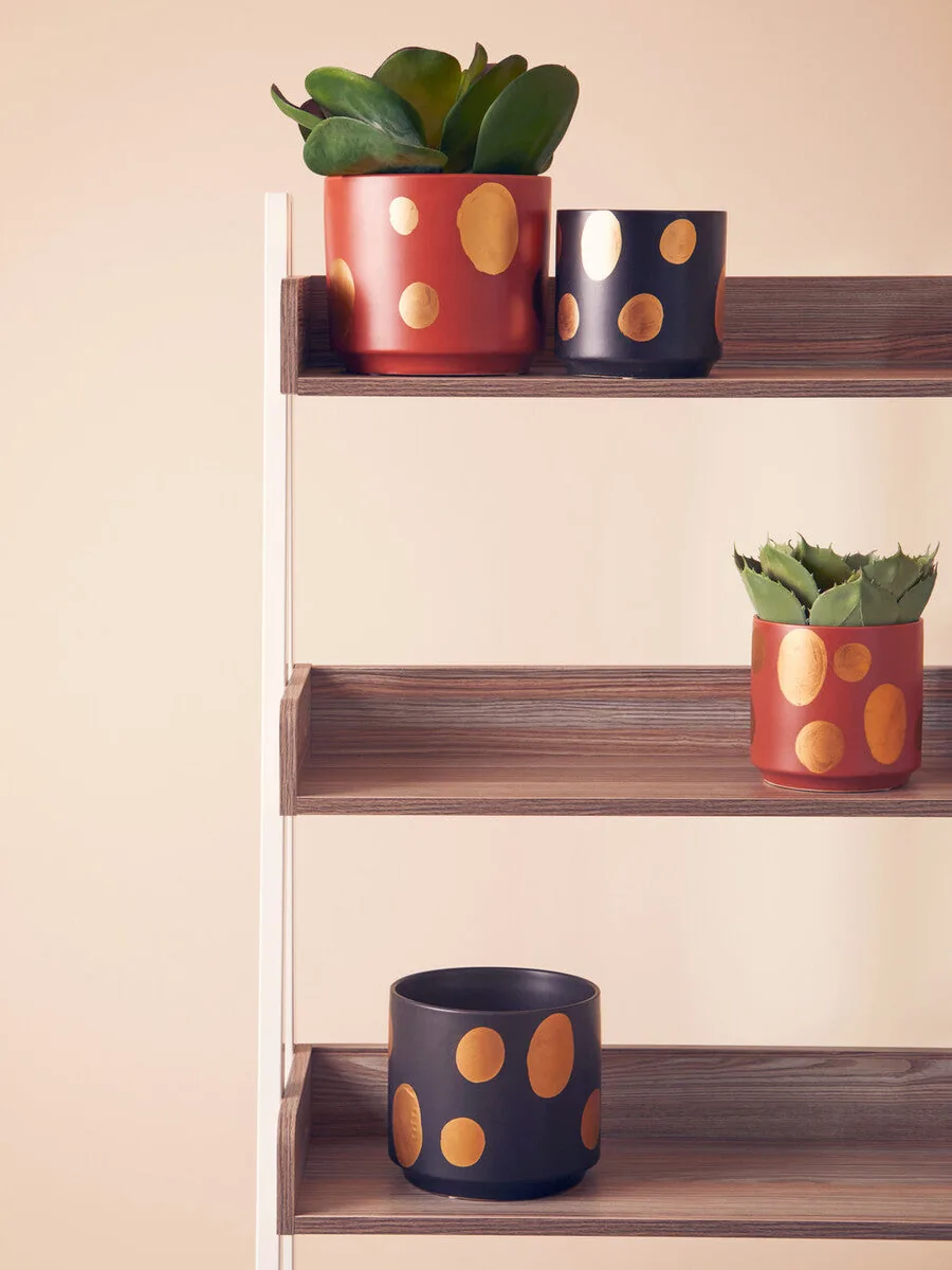 Yuri Small Terracotta Gold Spotted Planter