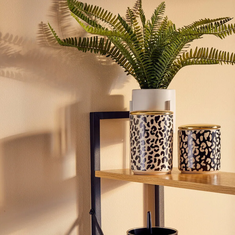 Fiori Fern In White Cement Pot On Stand