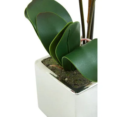 Fiori Purple Orchid In Silver Pot
