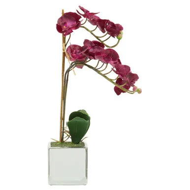 Fiori Purple Orchid In Silver Pot