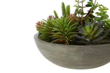Fiori Mixed Succulent In Stone Pot