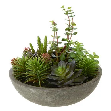 Fiori Mixed Succulent In Stone Pot