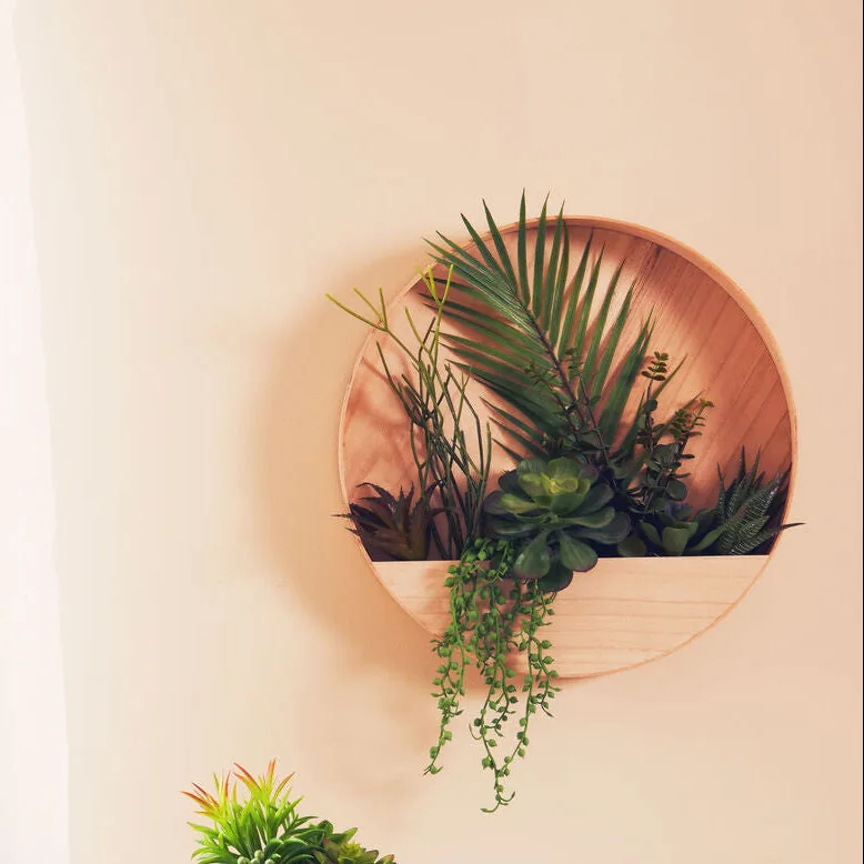Fiori Mixed Succulents In Wood Wall Planter