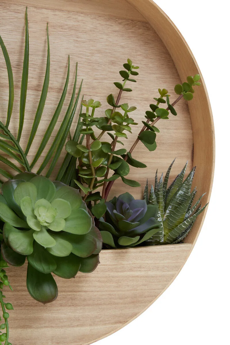 Fiori Mixed Succulents In Wood Wall Planter