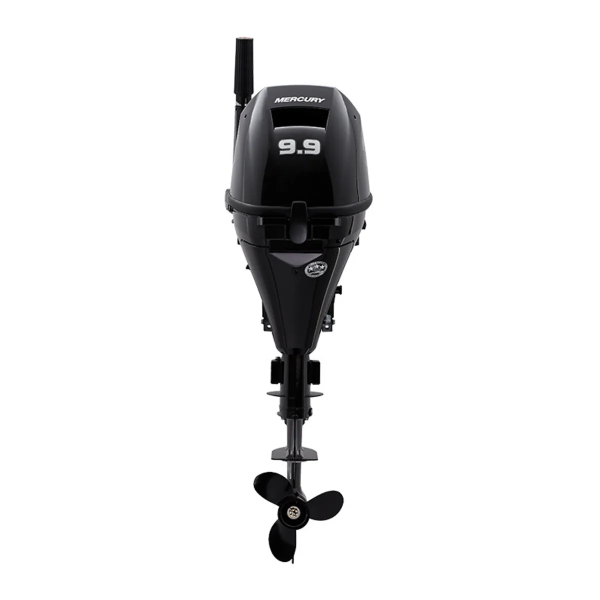 Mercury 9.9hp EFI Outboard 9.9EH