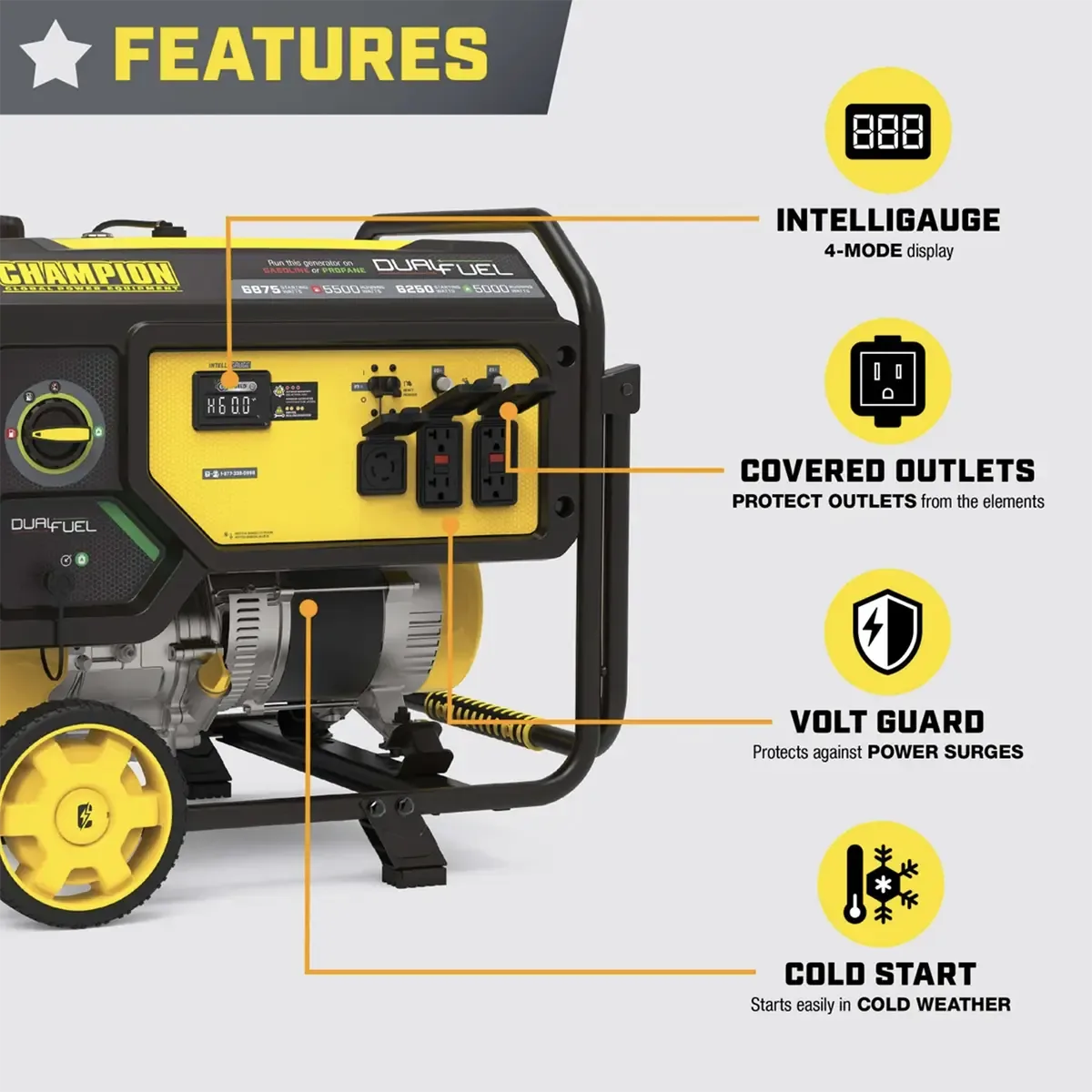 Champion 5500 Watt Dual Fuel Portable Generator with CO Shield