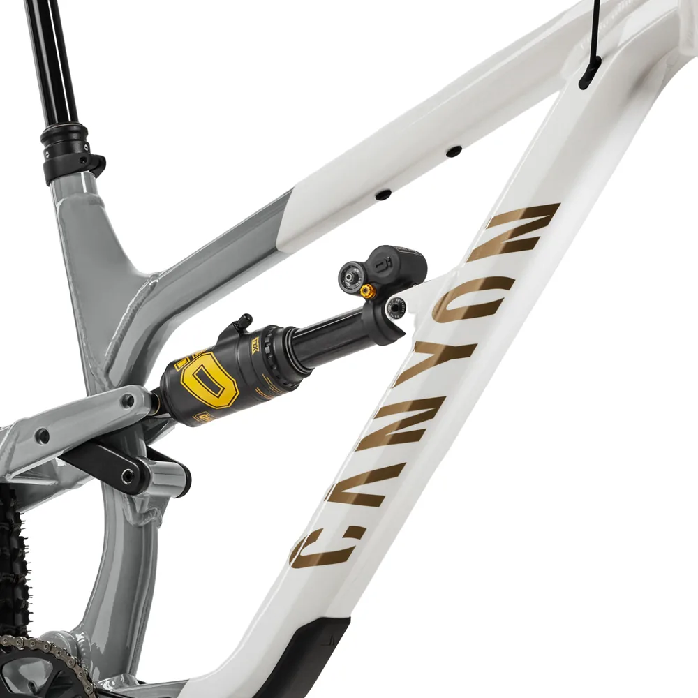 2023 Canyon Spectral 29 FW Mountain Bike