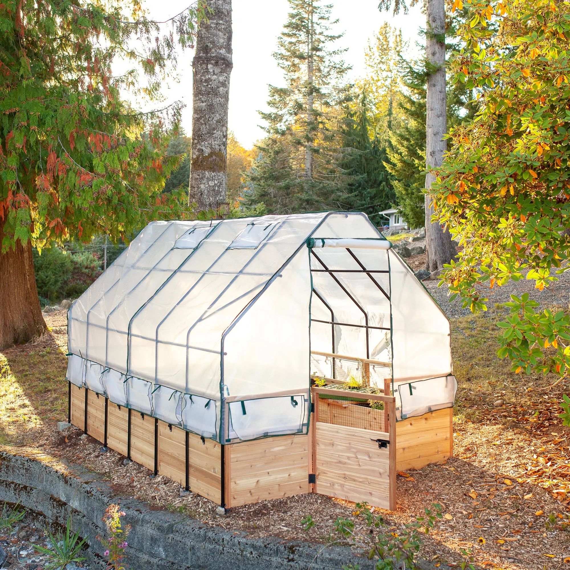 Cedar Complete Raised Garden Bed Kit with Greenhouse Cover 8′ x 12′