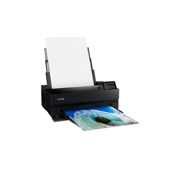Epson SureColor P900 17-Inch Photo Printer